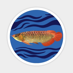 Dragon Fish | Arowana Magnet